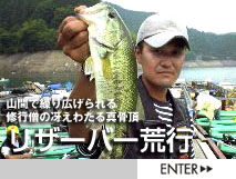 ���U�[�o�[�r�s